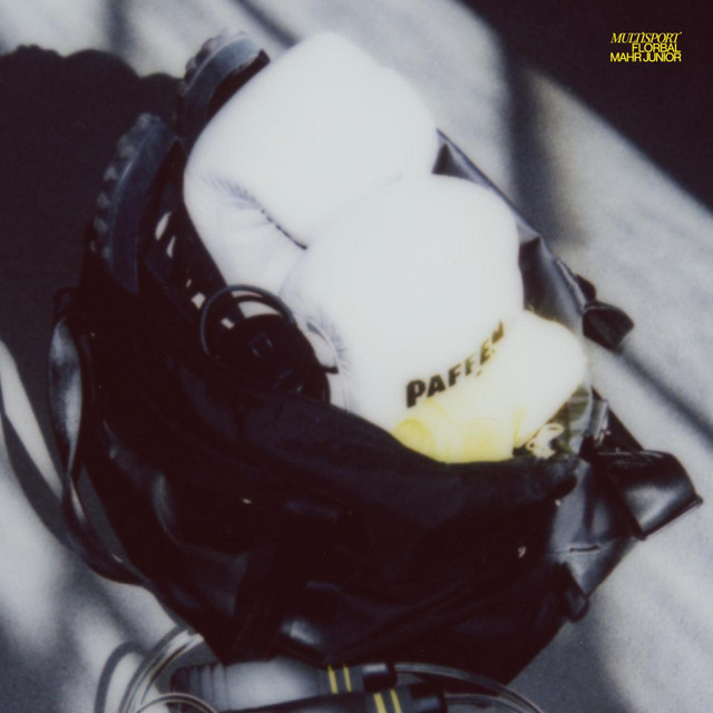 Multisport cover art