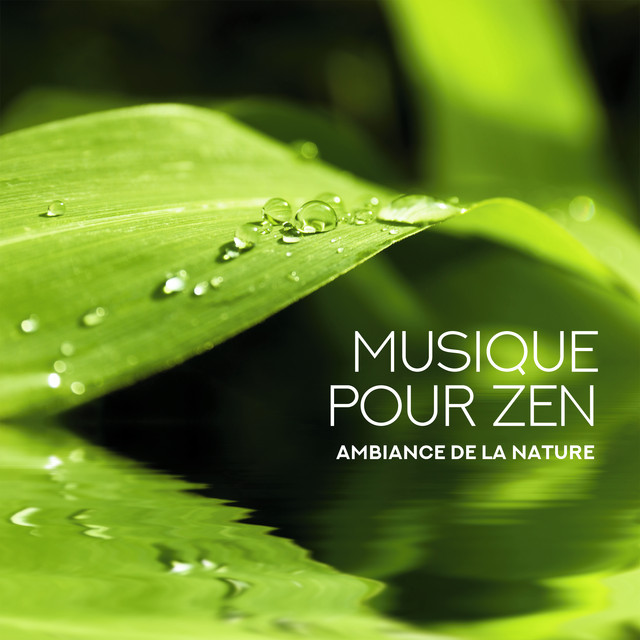 Nuit Paisible Et Relaxante Song By Musique Pour Zen Spotify