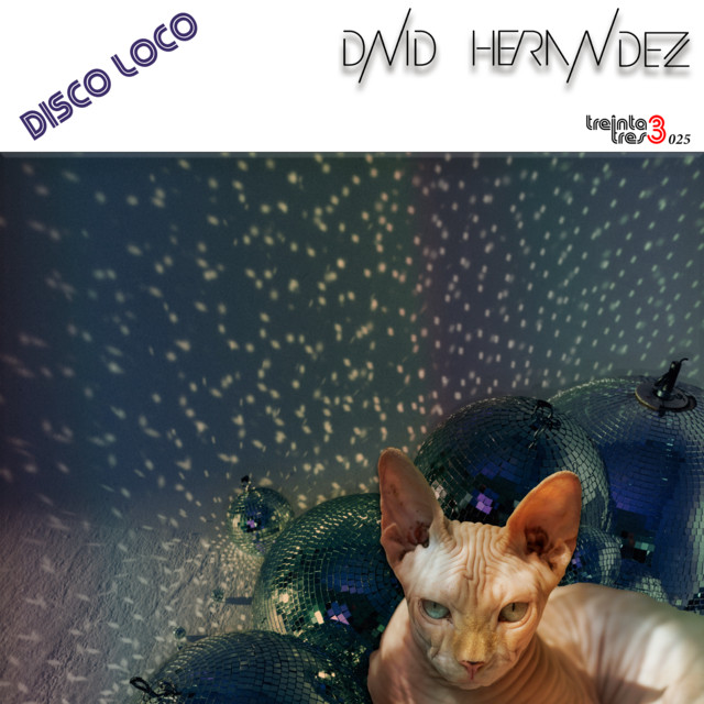Disco Loco - Extended cover art