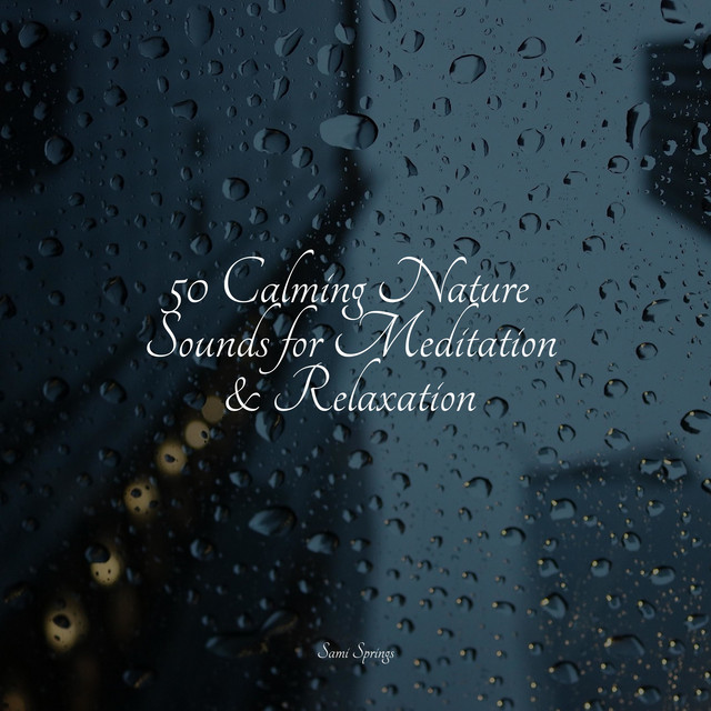 50 Calming Nature Sounds for Meditation & Relaxation - Album by ...
