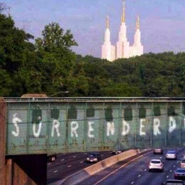SURRENDERD cover art