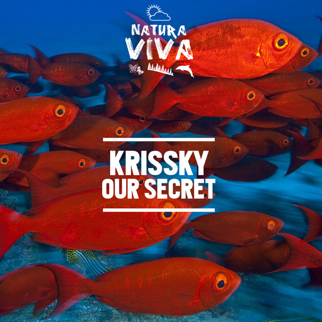 Our Secret cover art