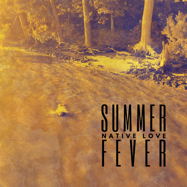 Summer Fever cover