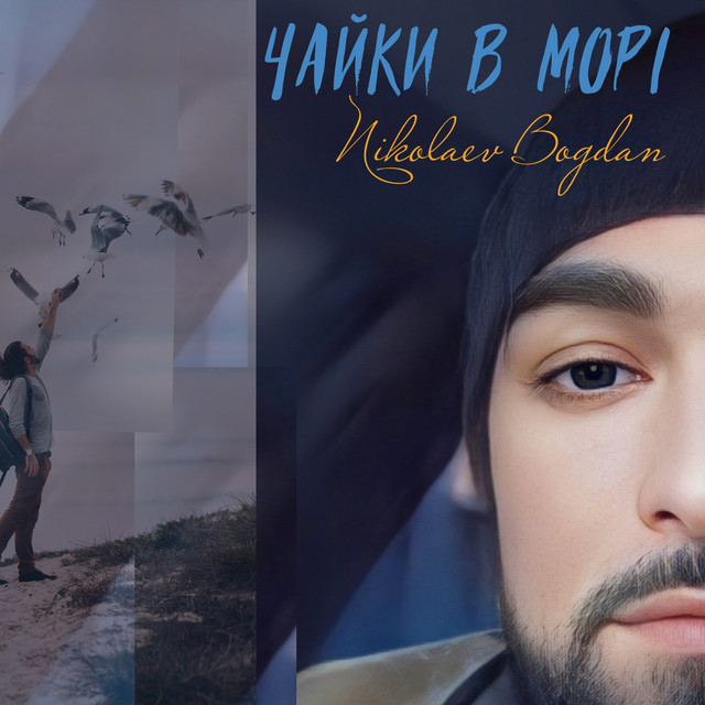 Обкладинка: Чайки в морі — Богдан Ніколаєв