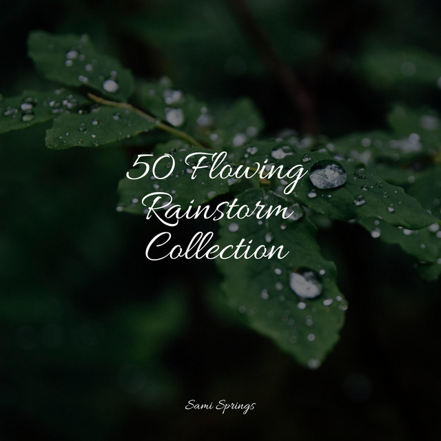 50 Calming Ambient Rain Sounds - Album by Hipnose Natureza Sons Coleção ...