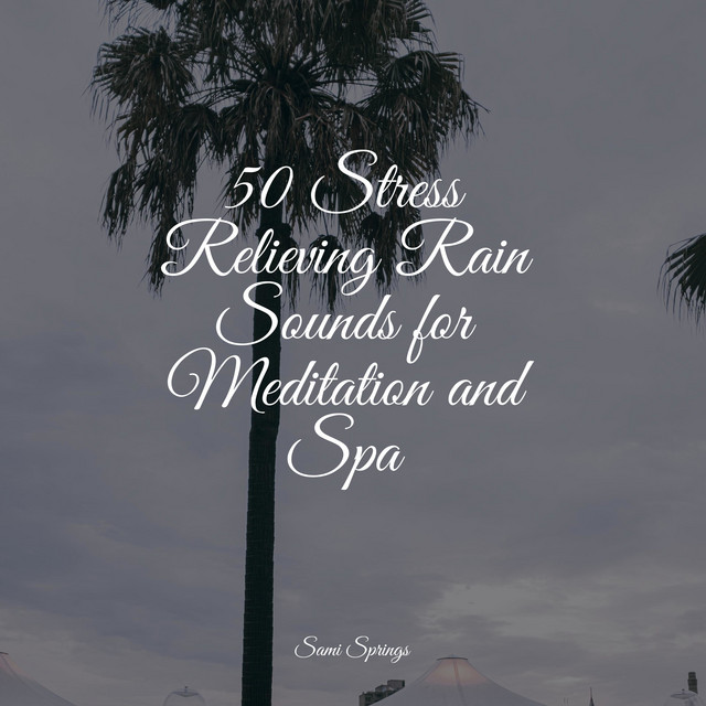 50 Stress Relieving Rain Sounds for Meditation and Spa - Album by ...