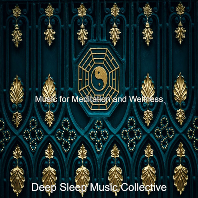 Music for Meditation and Wellness - Album by Deep Sleep Music ...