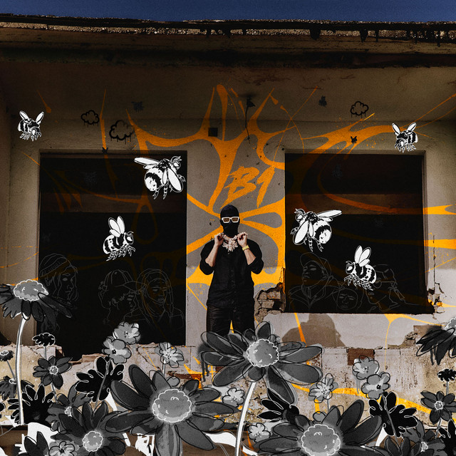 B1 album image