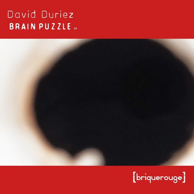 Brain Puzzle album art