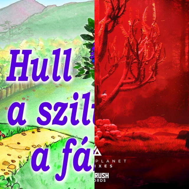 Hull a Szilva a Fáról X Shelter (OG Nixin Edit) [Mashup] cover art