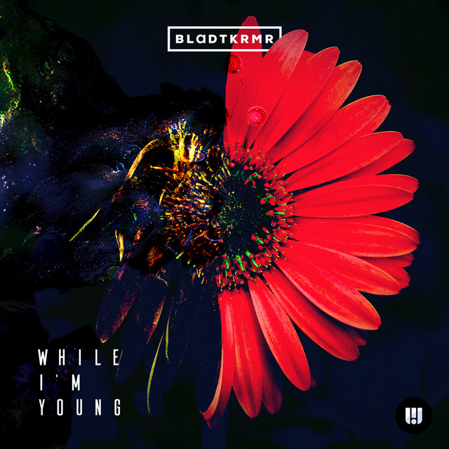 While I'm Young - OMR & ADRY Remix