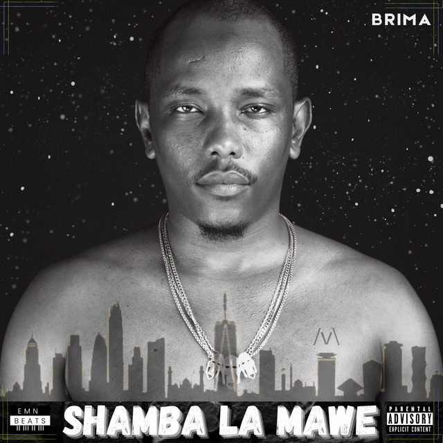 Shamba La Mawe cover art