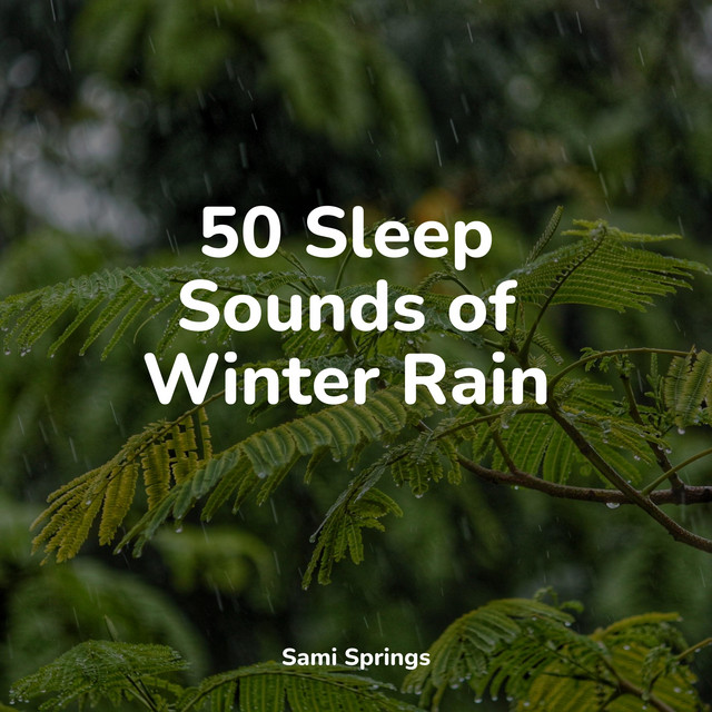 50 Sleep Sounds of Winter Rain - Album by Shakuhachi Sakano | Spotify