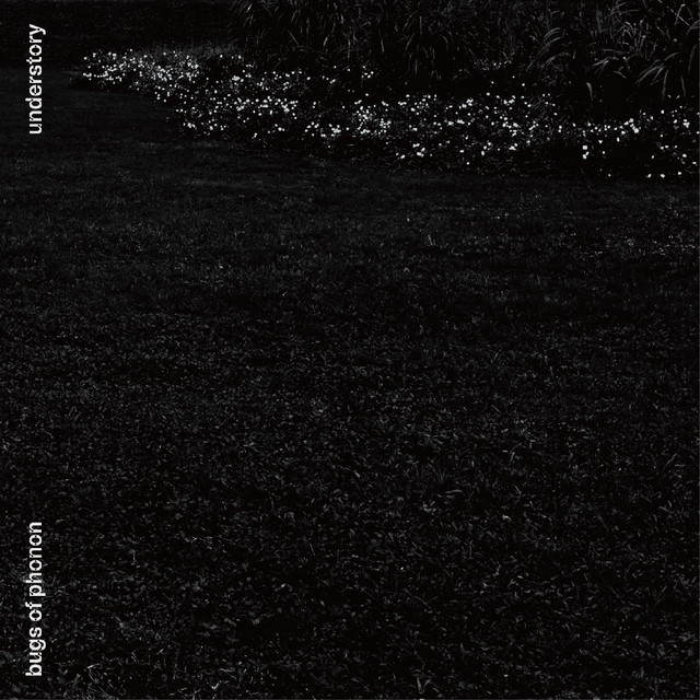 Understory cover art