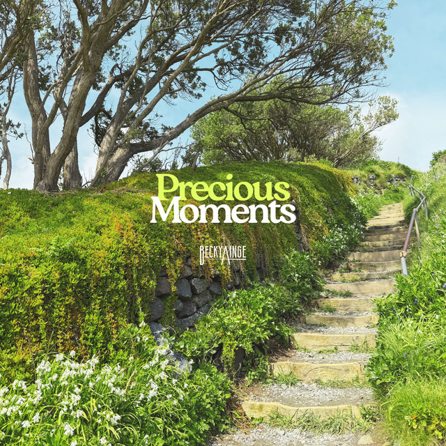 Precious Moments cover