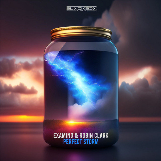 Perfect Storm cover