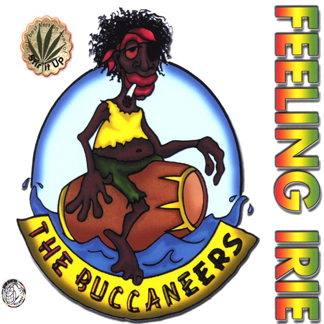 Feeling Irie cover art