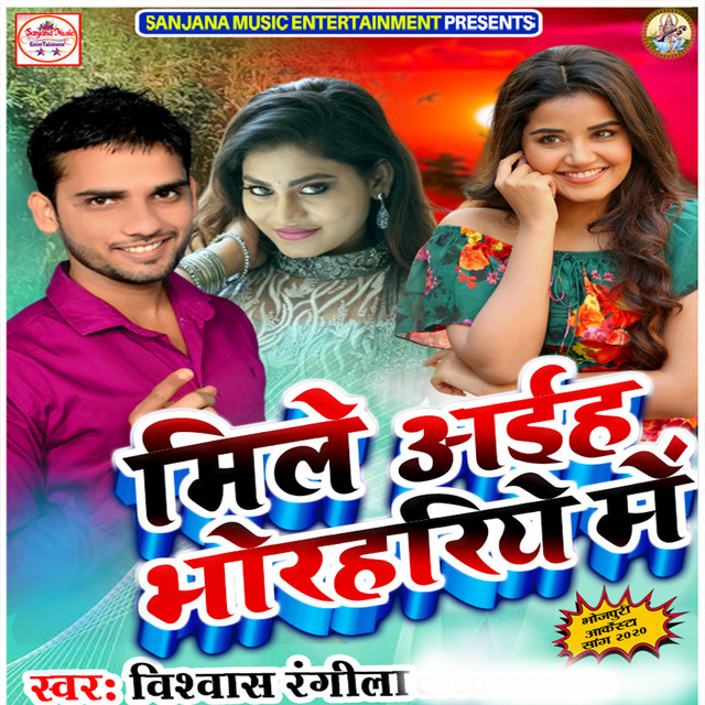 Mile Aaih Bhorhariya Me cover art