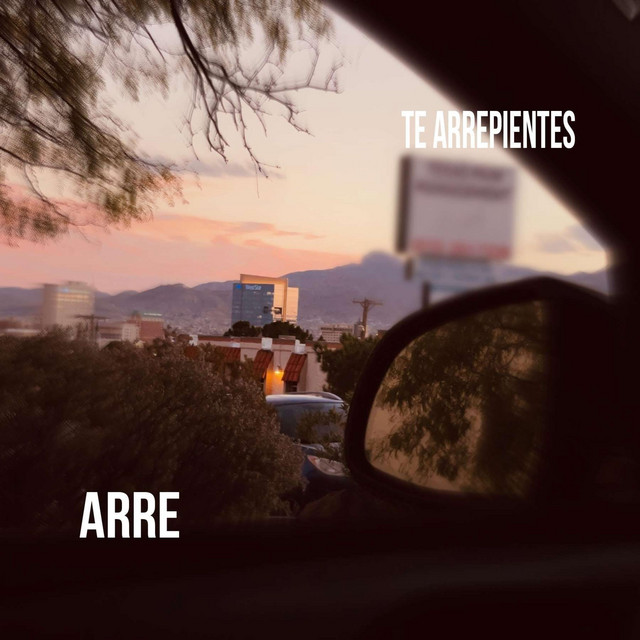 TE ARREPIENTES cover art