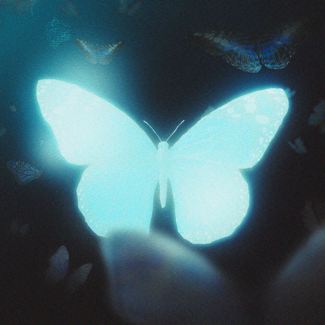 Metamorfose