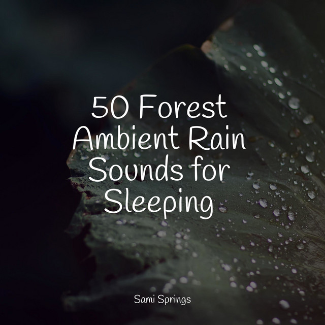 50 Forest Ambient Rain Sounds for Sleeping - Album by The Relaxing ...