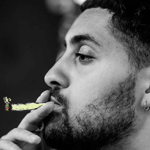 Like a Zoot