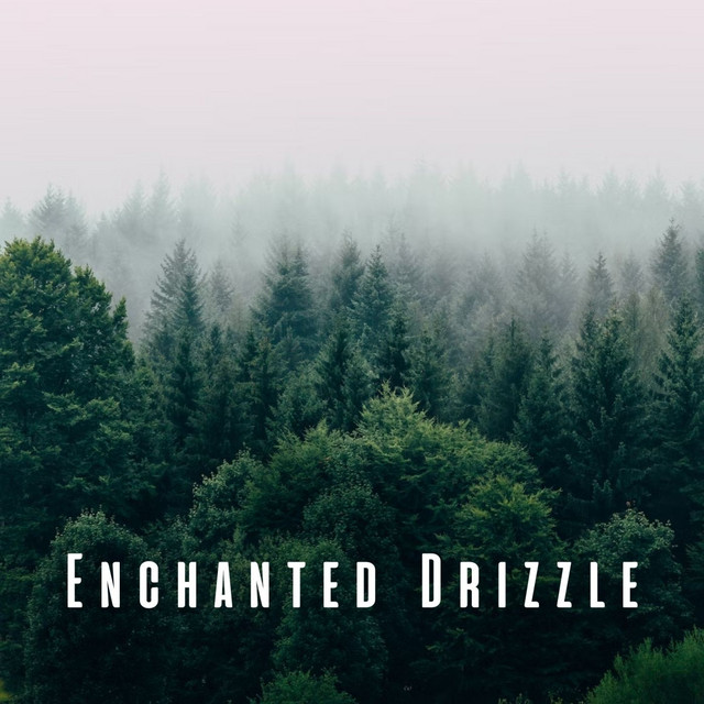 Enchanted Drizzle: Forest Rain Meditations - Album by Baltic Nature ...