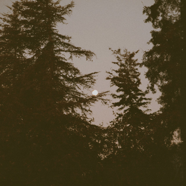 just before dawn