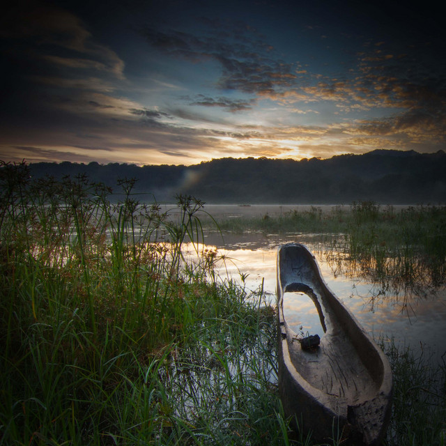 Relaxing Sounds of Crickets for Insomnia Relief and Deep Sleep album image