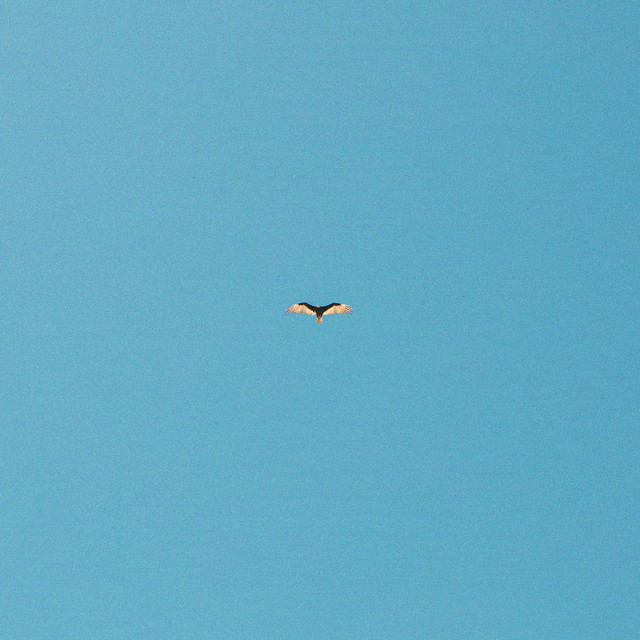 O Céu Desse Dia