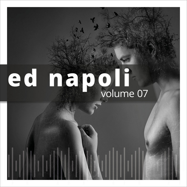 Ed Napoli, Vol. 7 cover art