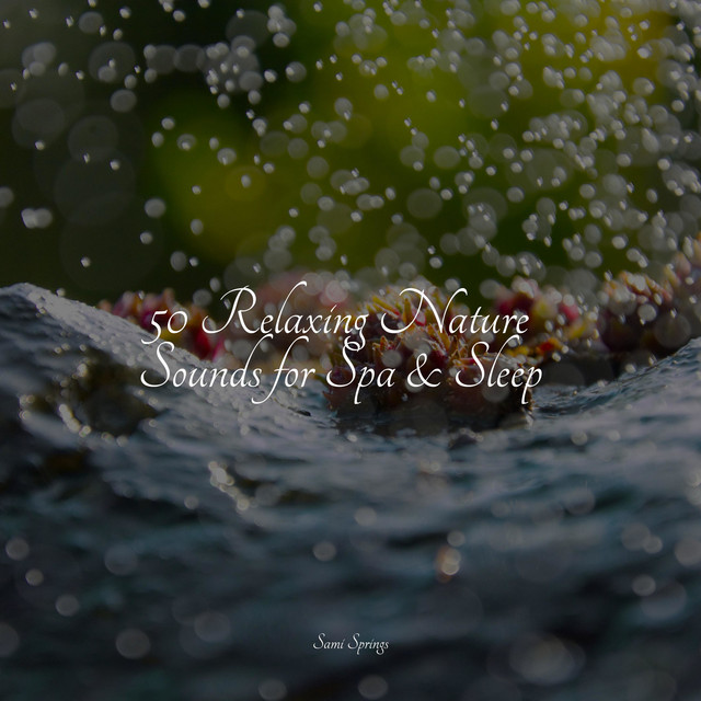 50 Relaxing Nature Sounds for Spa & Sleep - Album by Relaxing Sleep ...