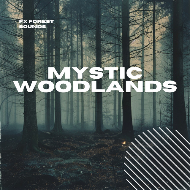Mystic Woodlands: Serene Forest Melodies cover art