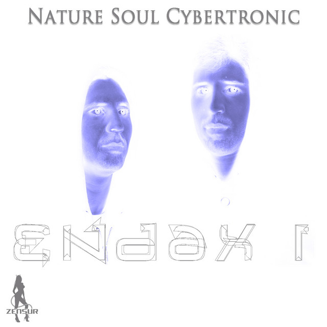 Endax I cover art