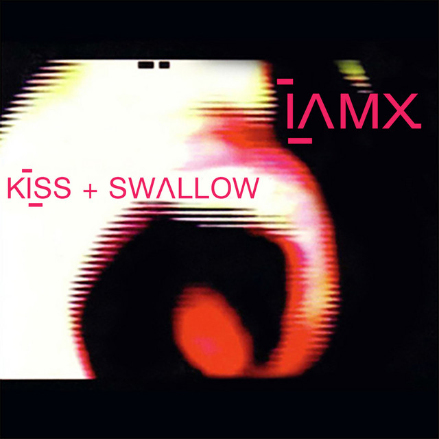 Kiss + Swallow cover art