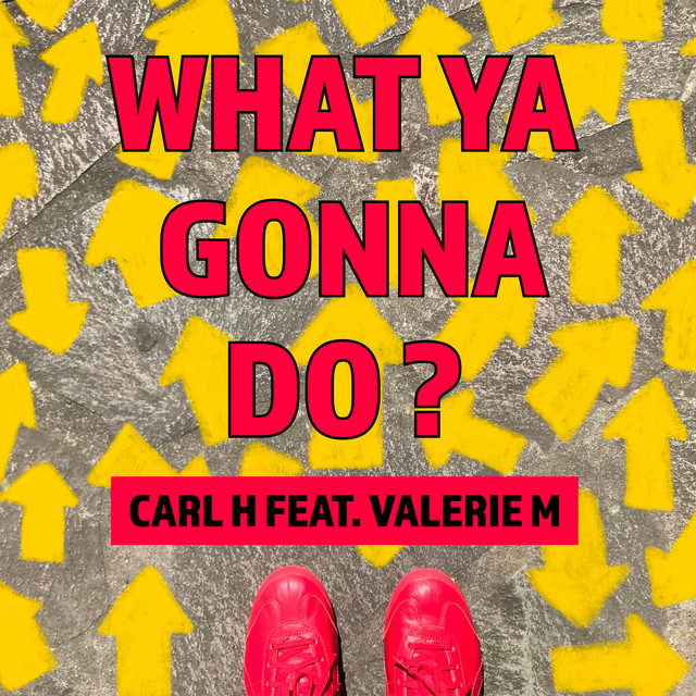 What Ya Gonna Do? cover art