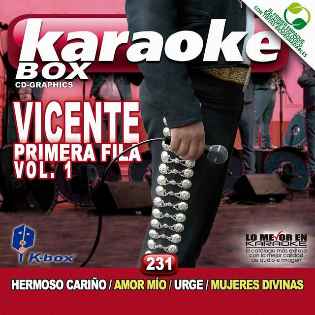 Vicente Primera Fila Vol. 1 (Karaoke Version) cover art