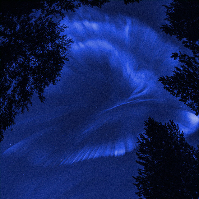 LVLY cover art