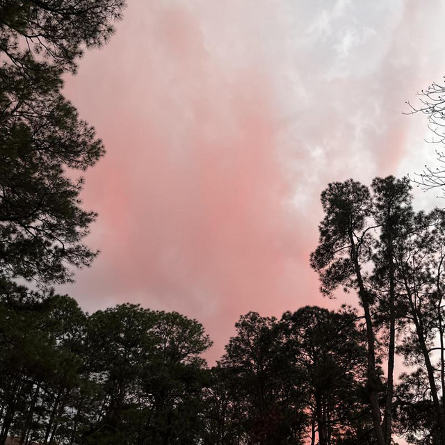 never had a chance (slowed and reverb)