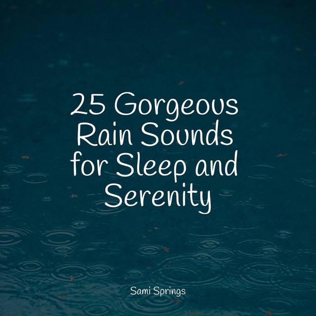 25 Gorgeous Rain Sounds for Sleep and Serenity - Album by Nature Sounds ...