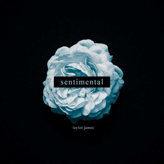 Sentimental cover art