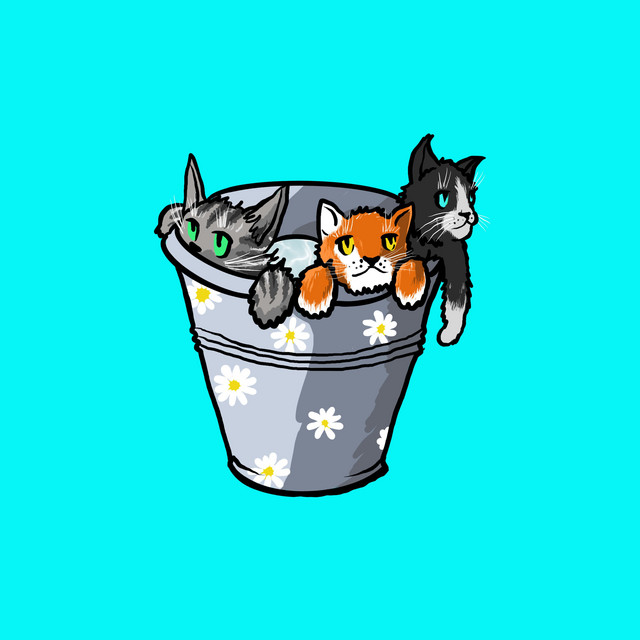 Обкладинка: Візьміть Котят — Chingachpuk & Vano