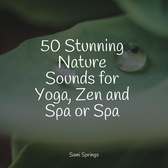 50 Stunning Nature Sounds for Yoga, Zen and Spa or Spa - Album by Rain ...