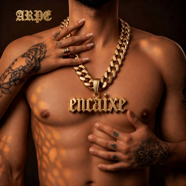 Encaixe cover art