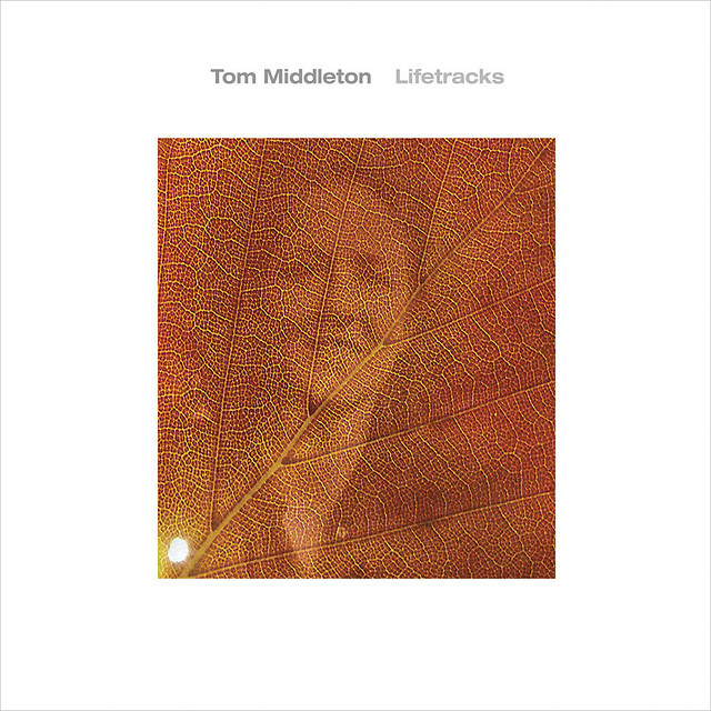 Lifetracks cover art