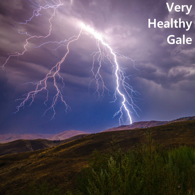 Very Healthy Gale cover art