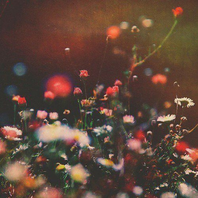 blurred memories