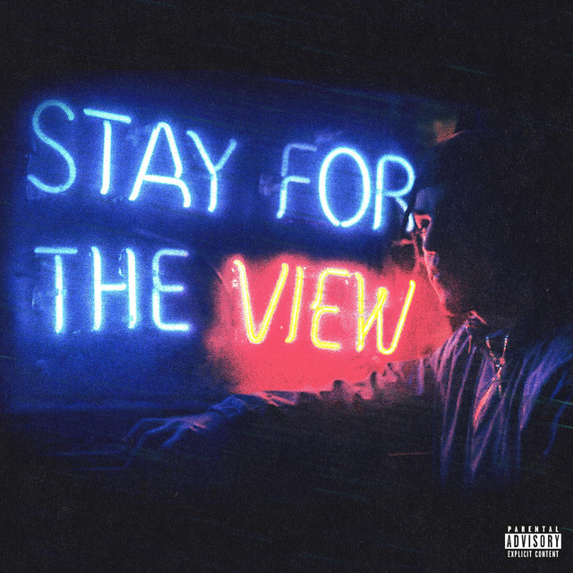 Stay for the View cover art