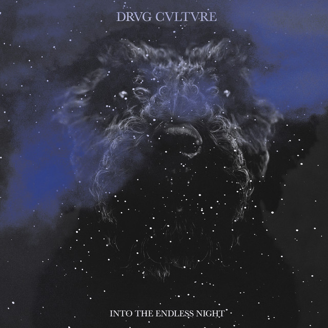 Into the Endless Night cover art