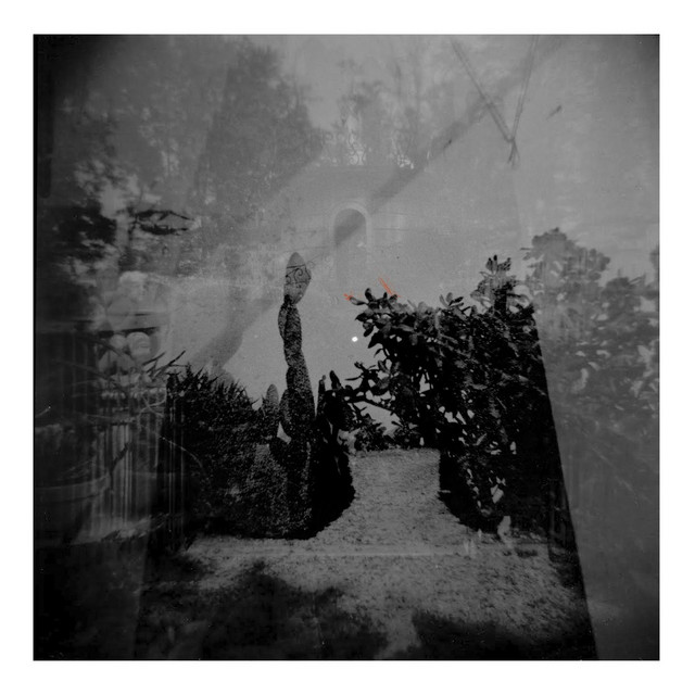Paon perdu cover art
